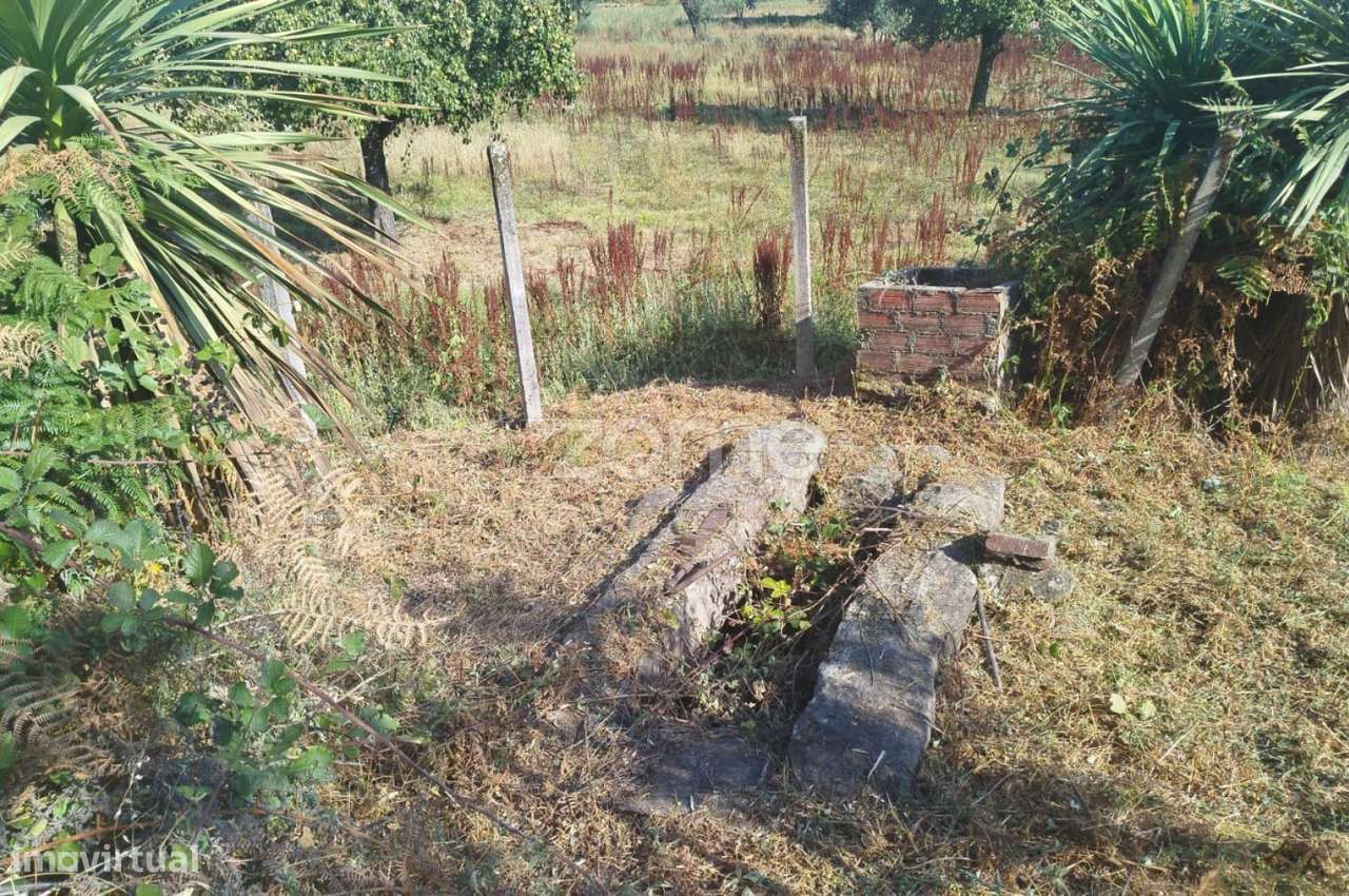 Terreno, 6 700 m², Santiago de Cassurrães e Póvoa de Cervães - Grande imagem: 4/32