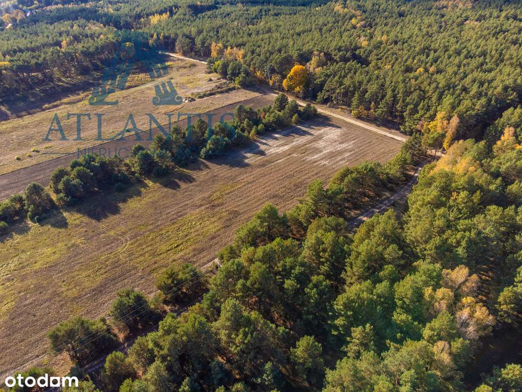 Działki z warunkami zabudowy w otoczeniu natury - Pełny obrazek: 4/8