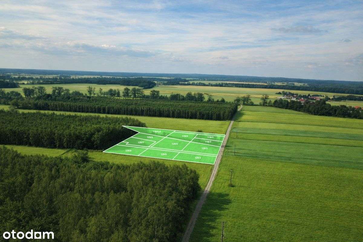 Działki budowlane w otulinie lasu-3