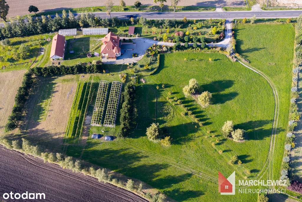 Dom na sprzedaż | winnica | stawy | gaj figowy-19