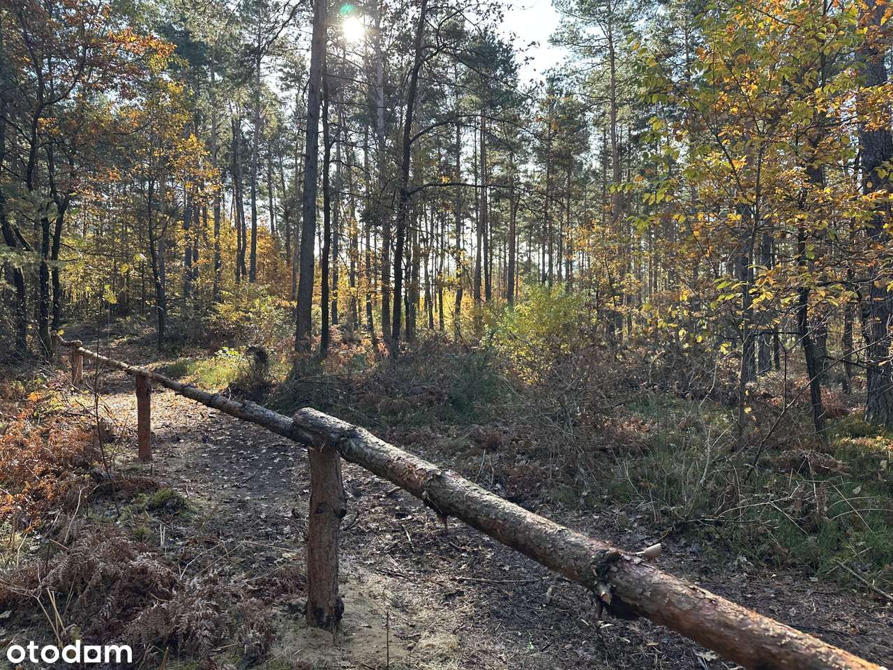 Cicha spokojna okolica Las Czyste powietrze-7