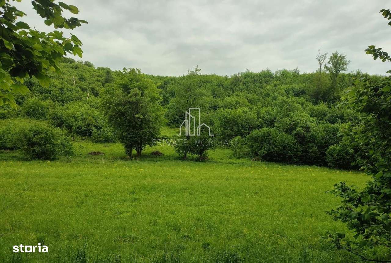 Teren de vanzare, 20.000Mp , Comuna Danes, drumul Crisului - Imagine principală: 2/19
