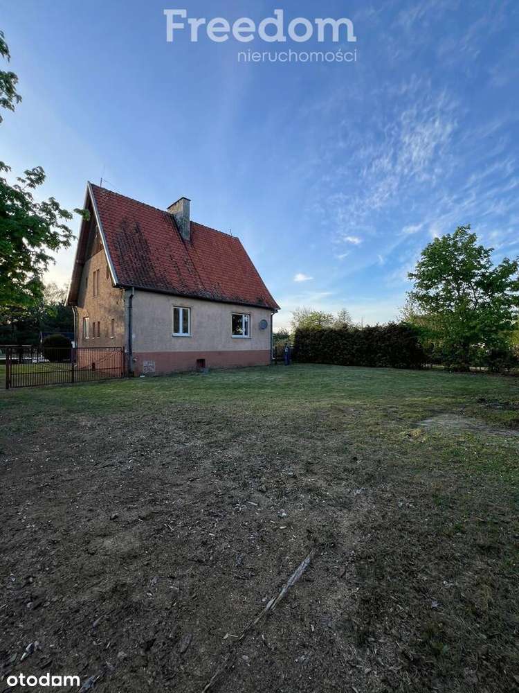 Dom z dużą działką–Łatana Wielka 15, gm. Wielbark - Pełny obrazek: 5/15