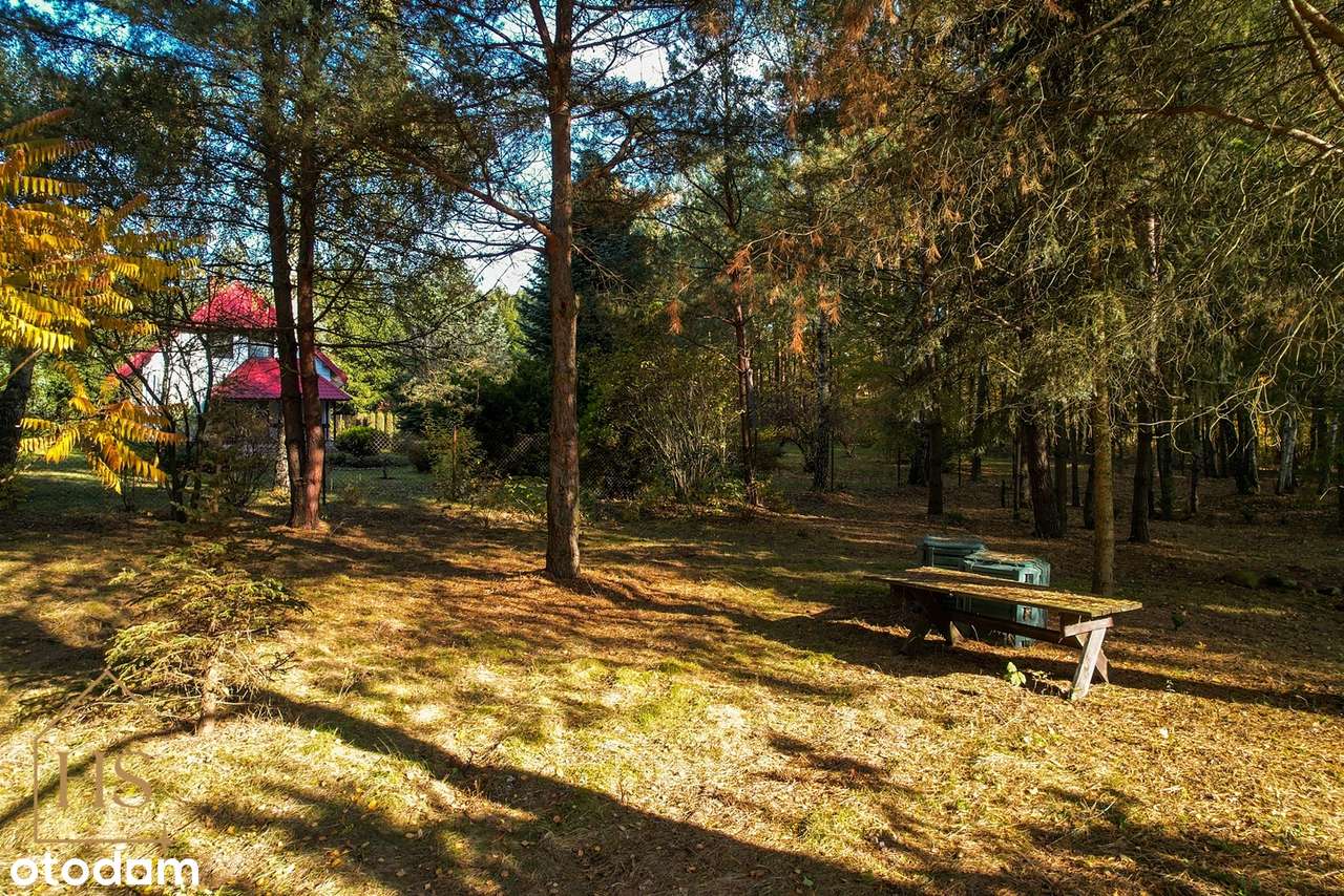 Piękna działka pod zabudowę/Zalesie gm. Żabia Wola/35 min od Wa-wy - Pełny obrazek: 5/20