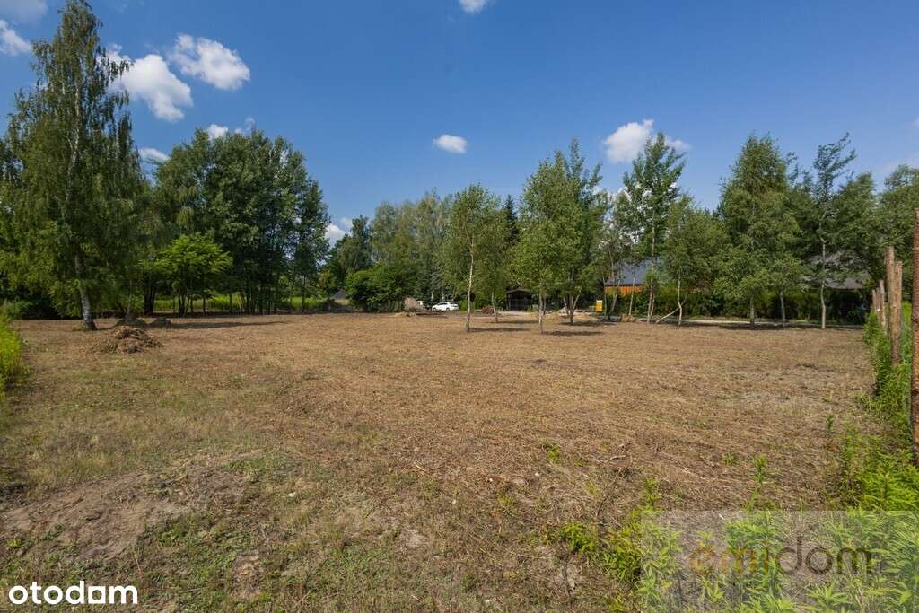 2000 m² | przy lesie | 18 km do Warszawy - Pełny obrazek: 2/12