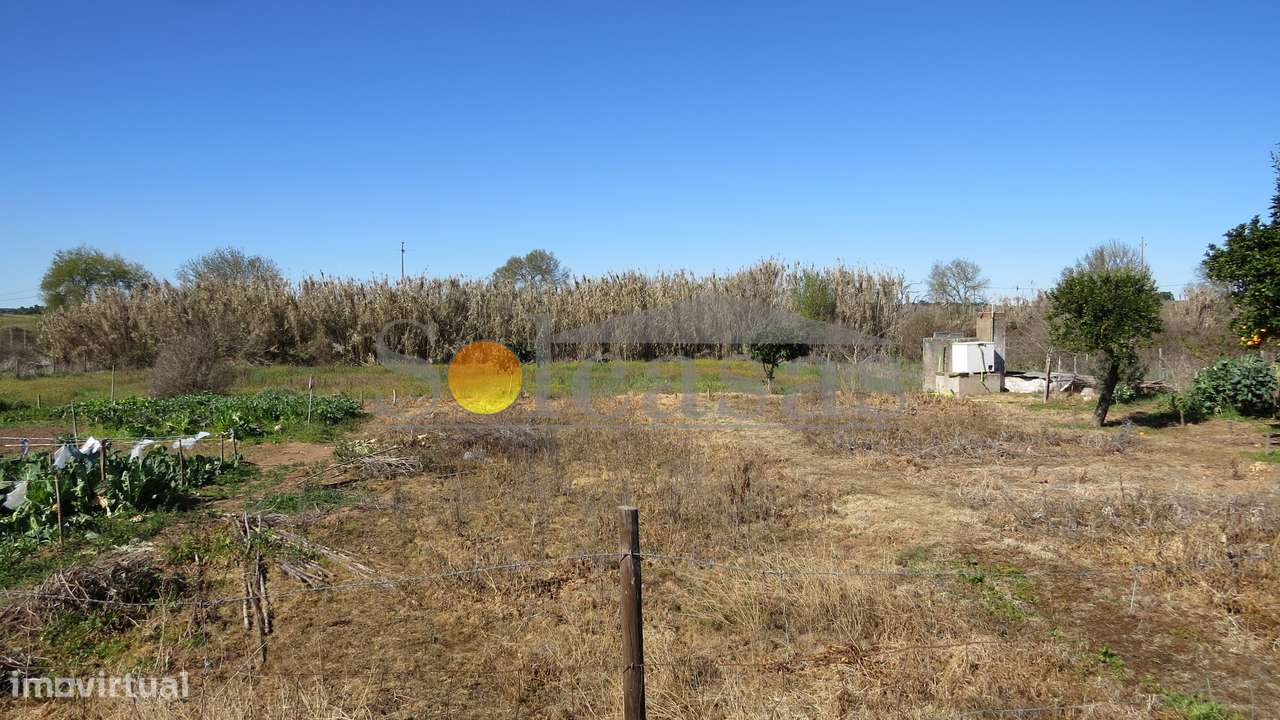 Quinta perto de Alcácer do Sal-7