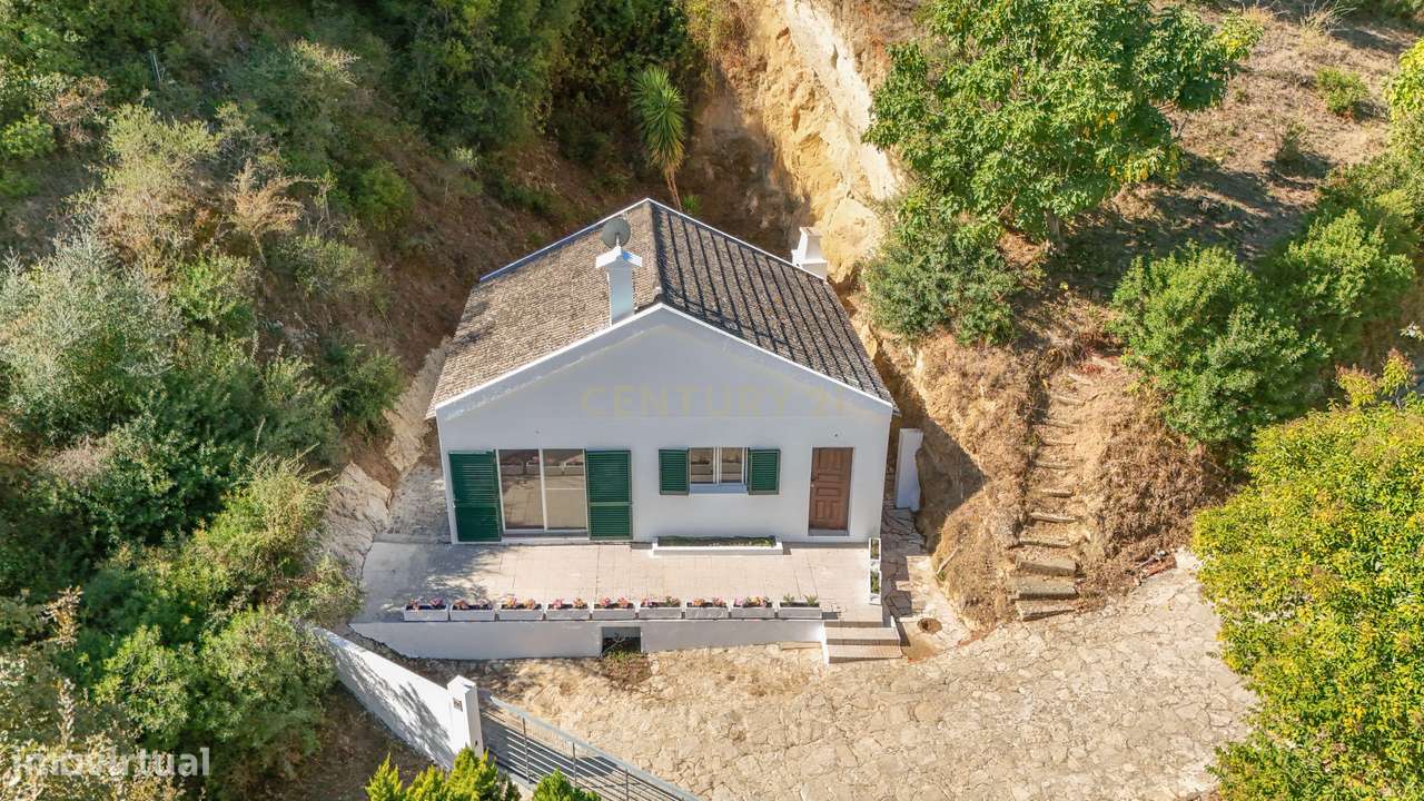 Quinta na Arrábida com moradia T5 de 364 m2 em lote de 13 520 m2 Onde-49