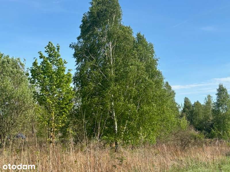 Działka pod inwestycje w pobliżu Kamiennogórskiej SSEMP!!!-9