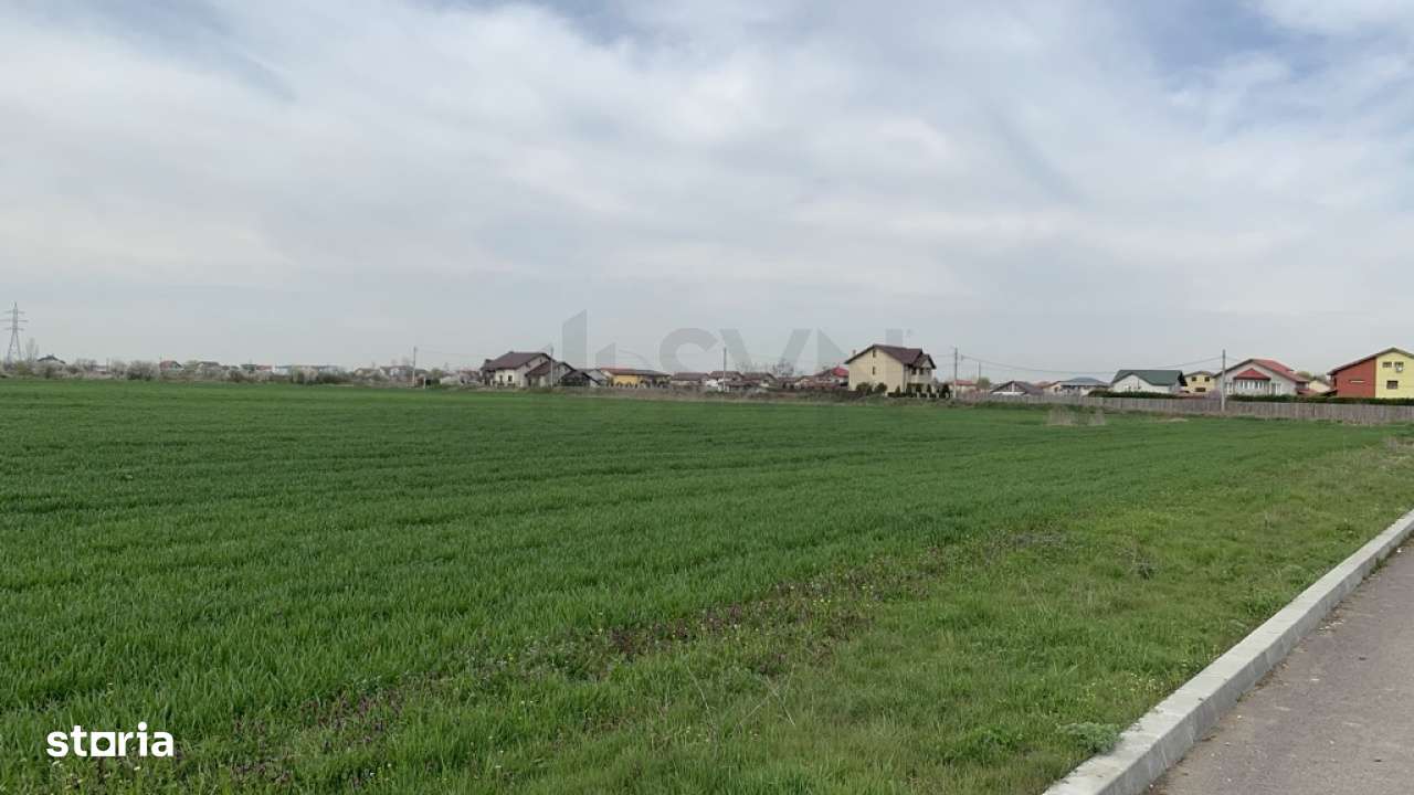 Teren Magurele - 16573 mp - Acces Dublu - Proximitate A0 - Imagine principală: 4/6