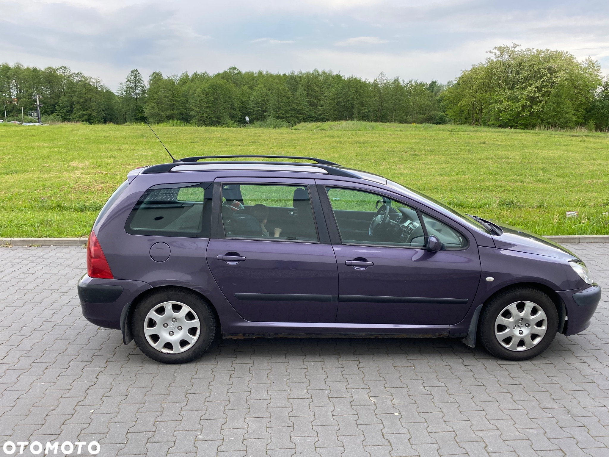 Peugeot 307 1.6 XS - 5