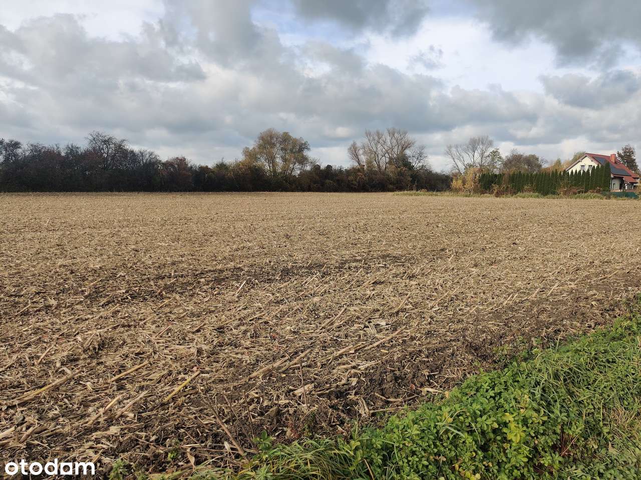 Piękna działka 3029 m2 Racławice Małe z gotowym projektem budowlanym! - Pełny obrazek: 2/4