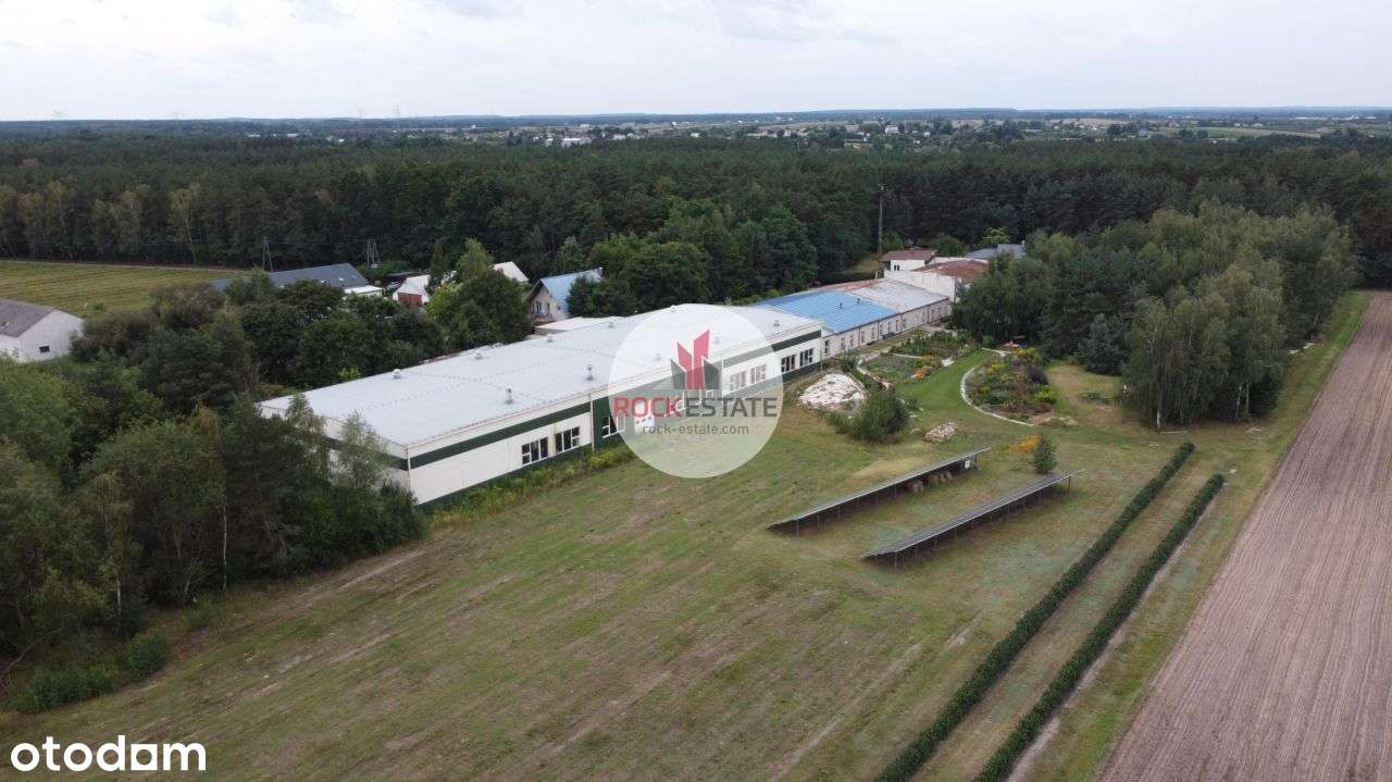 Nieruchomość produkcyjna w Dmosinie na sprzedaż