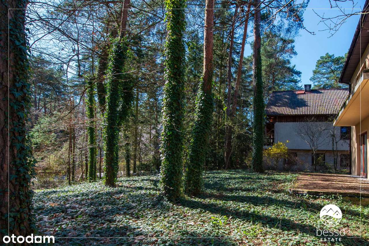 DOM W SERCU ZALESIA GÓRNEGO | SZYBKI DOJAZD DO WARSZAWY-12