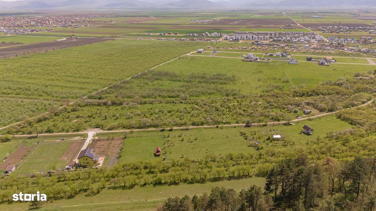 Teren vânzare 2717 mp/Sanpetru lângă dealul Lempes - Imagine principală: 2/8