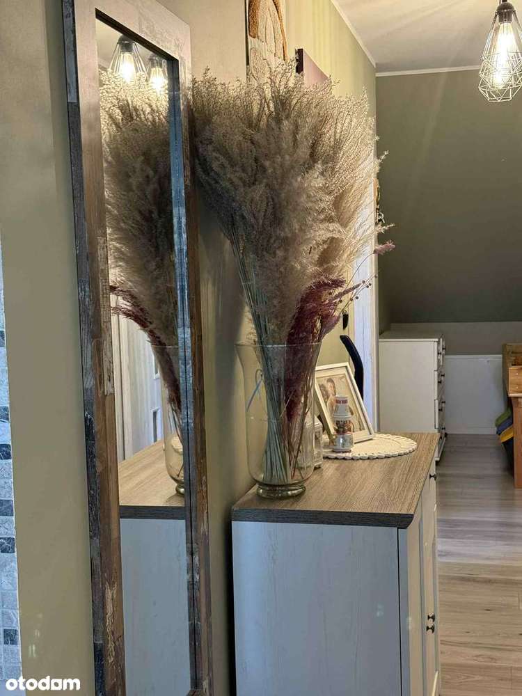 Bezczynszowy lokal mieszkalny Wilkowice Leszno-2