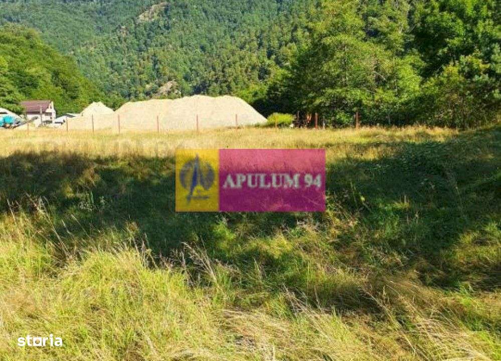 Teren Județul Vâlcea - Brezoi, Valea lui Stan - Imagine principală: 2/20