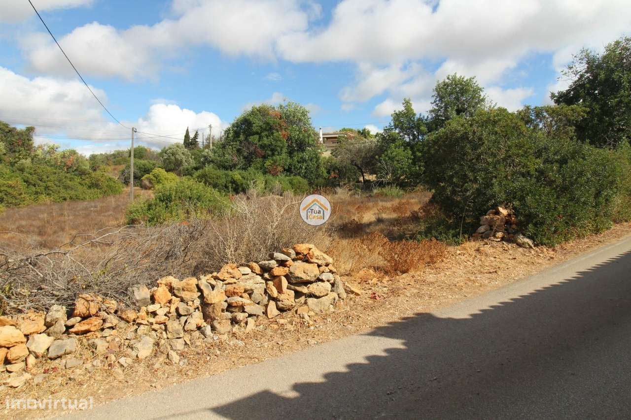 Terreno Misto 6580 m2 com 30 m2 Construção em Olhão (Fornalha) - Grande imagem: 5/23