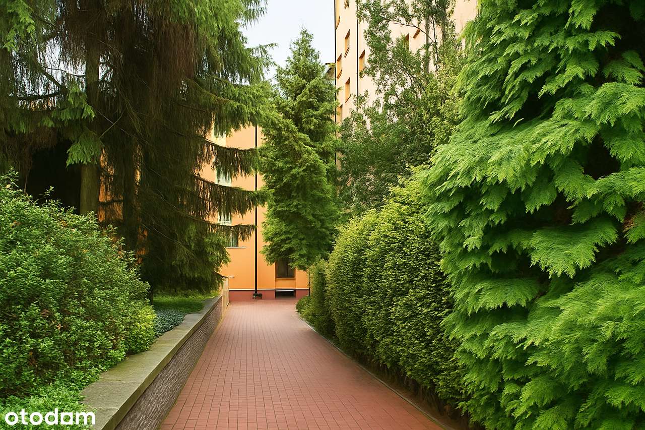 Wyjątkowe 2 poziomowe mieszkanie w centrum miasta!-18