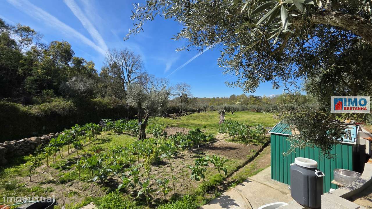 Quinta com 3500m2 em Póvoa de Rio de Moinhos - Grande imagem: 4/18