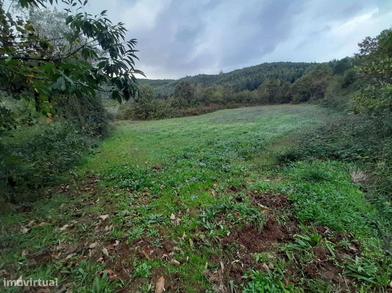 Vende Quinta em Paraíso Castelo Paiva - Grande imagem: 4/15