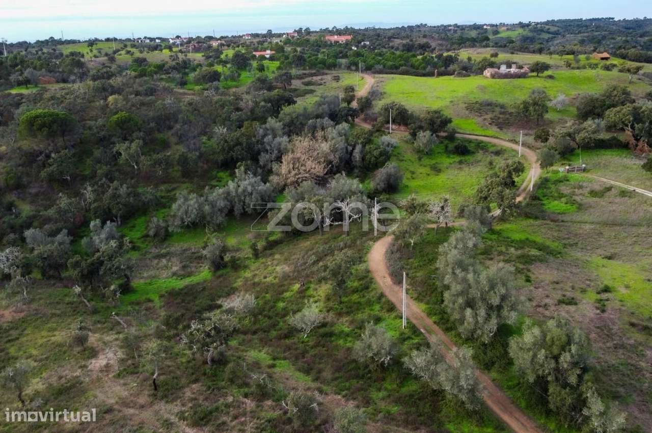 Terreno Misto 21HA - Grande imagem: 5/15