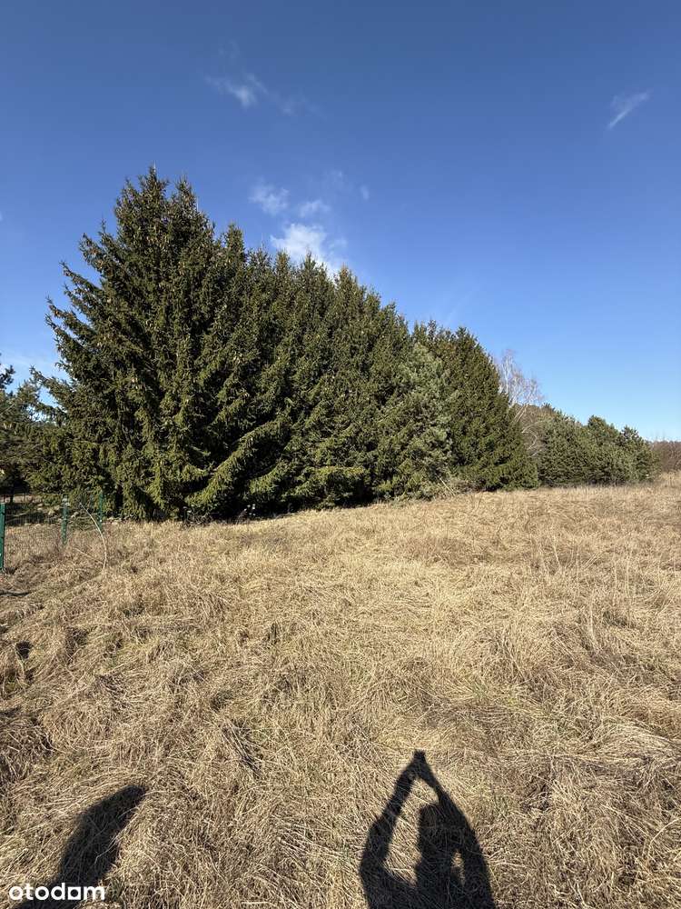 Urokliwa działka budowlana nad jeziorem Laskowskim (200 m do wody)-7