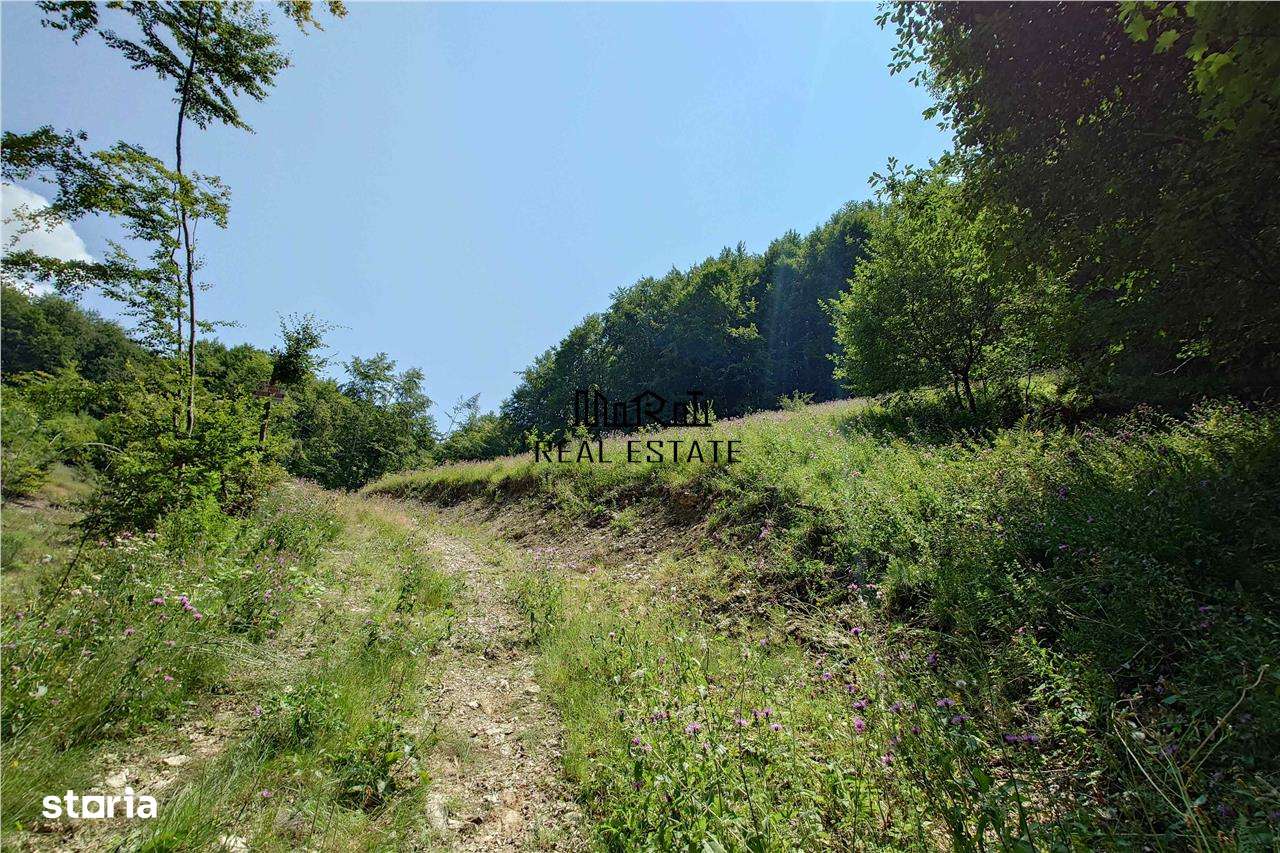 Teren montan cu priveliste si izvor - 5727mp in Buces, langa padure - Imagine principală: 5/14