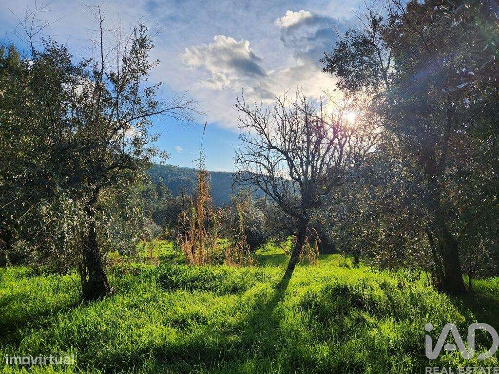 Casa rústica T3 em Souto da Casa de 186 m2 - Grande imagem: 2/27