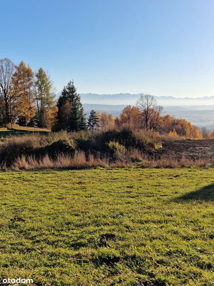 Widokowa działka budowlana z potencjałem-0