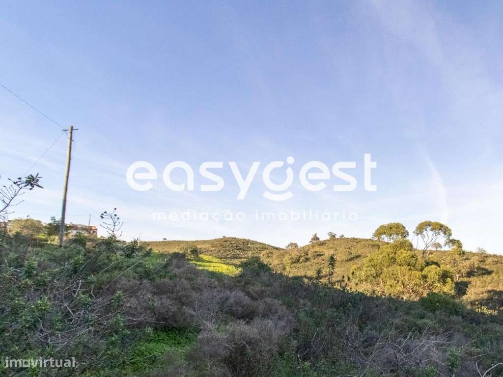 Lote de Terreno Rustico para cultura de sequeiro no Lavajo - Grande imagem: 3/11