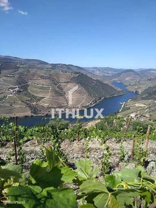 Quinta com Adega em Adorigo – Tabuaço - Grande imagem: 5/13