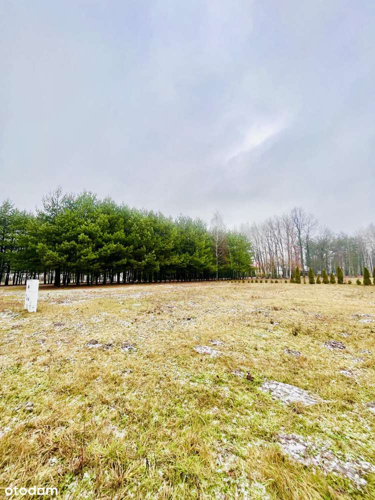 Działka  988 m2  w m. Cyganka - Pełny obrazek: 4/5