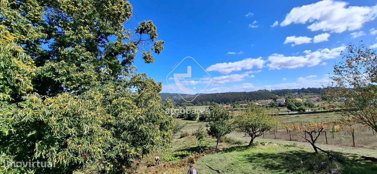 Quinta Agricola de 6Hect. c/casa T3 em Calvelo - Ponte de Lima-31