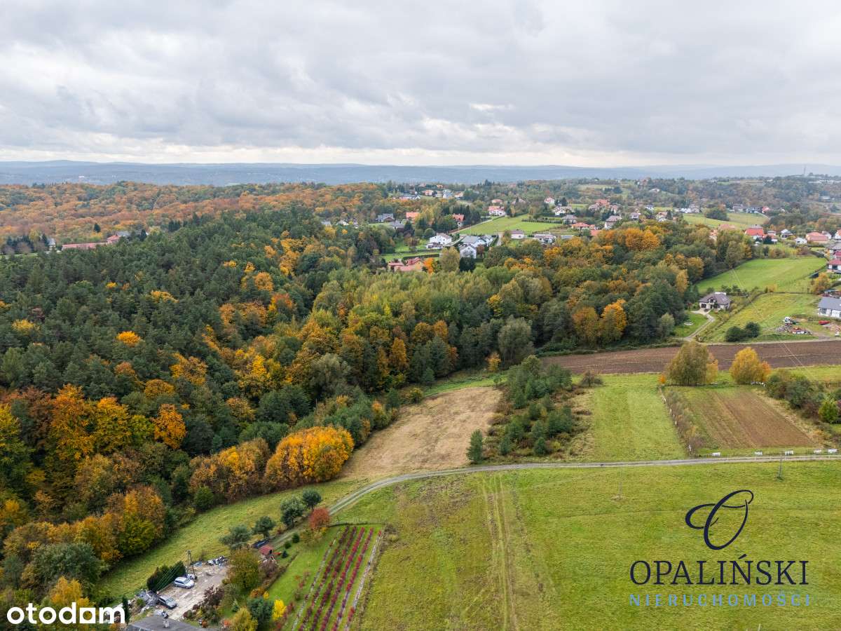 Działka pod lasem 16,80 ar z warunkami zabudowy - Pełny obrazek: 4/20
