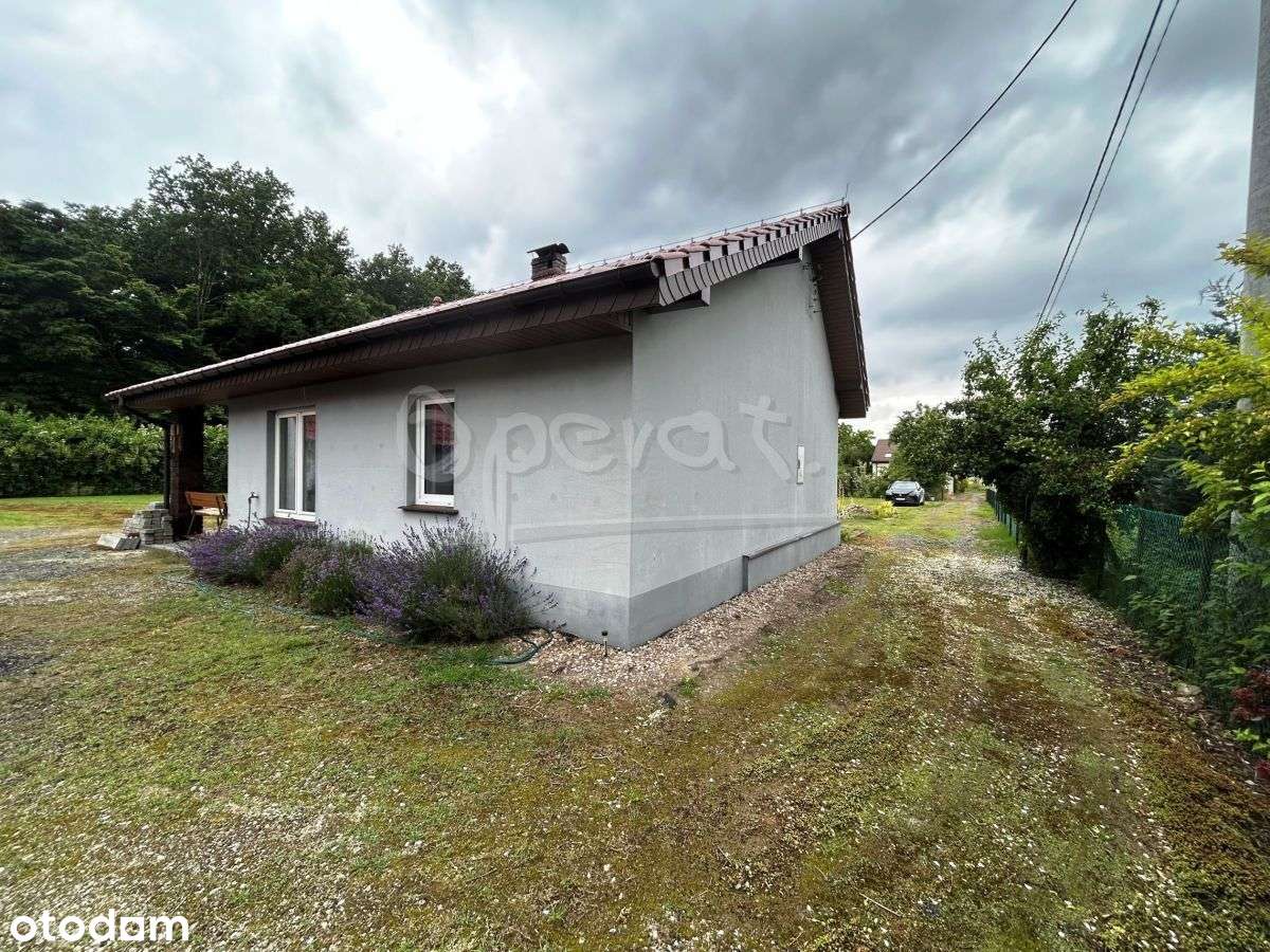 Dom pod lasem - Pełny obrazek: 4/17