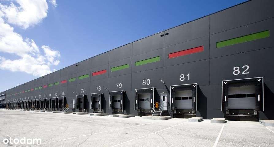 Nowoczesny magazyn na wynajem w Gliwicach - Pełny obrazek: 5/5
