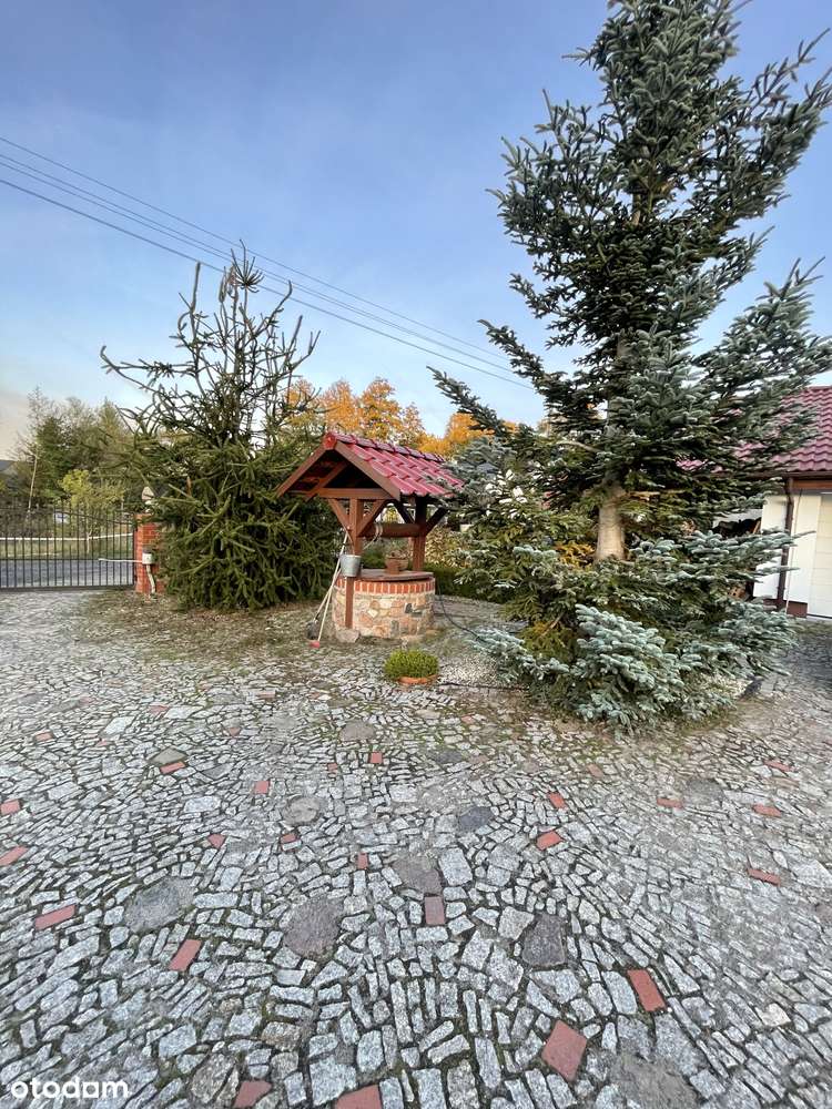 Wyjątkowy dom ze stawem i działką 0.6 ha-Słone 8 km od Zielonej Góry - Pełny obrazek: 4/12