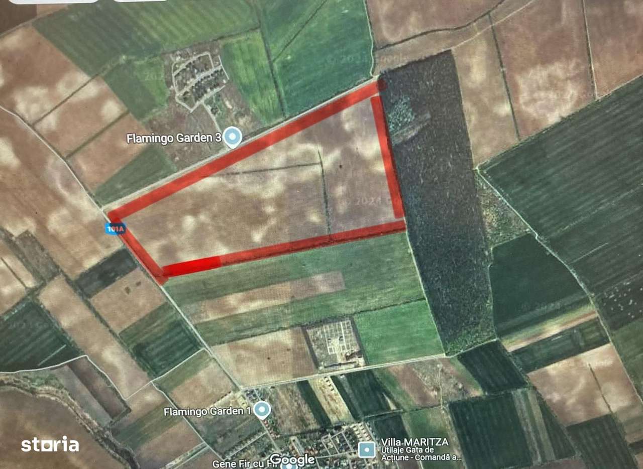 Teren 45 ha oportunitate investitie-dezvoltare Corbeanca- Comision 0-1