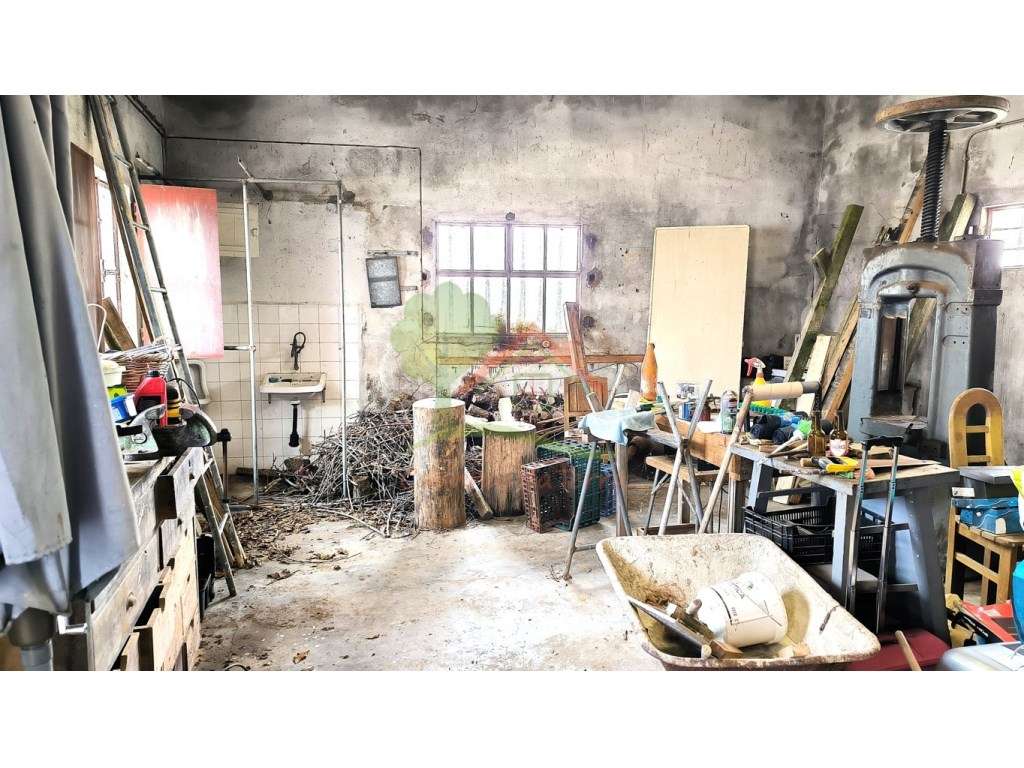 Arrecadação antiga para arrendamento - Grande imagem: 4/6