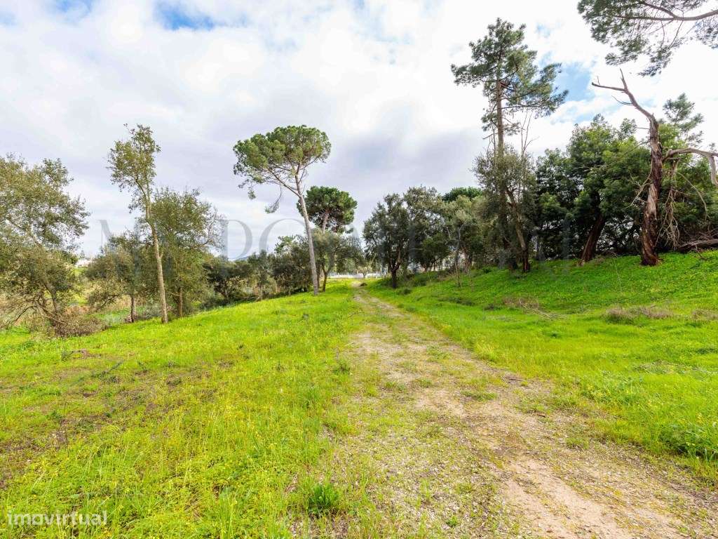 'Casa do Bosque': Terreno Urbano de 1 Hectare em Azeitão - Onde o L...-19