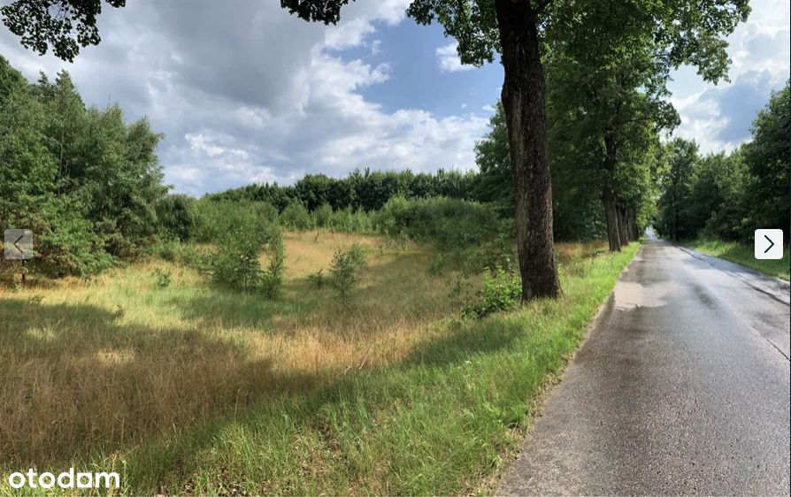 Działka budowlana na wzniesieniu, przy asfalcie.