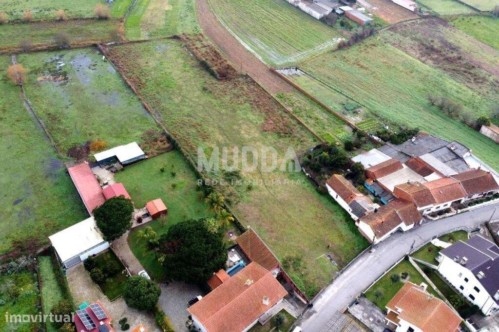 Terreno Rústico com Potencial de Construção – Perto do Centro de Estar - Grande imagem: 4/7