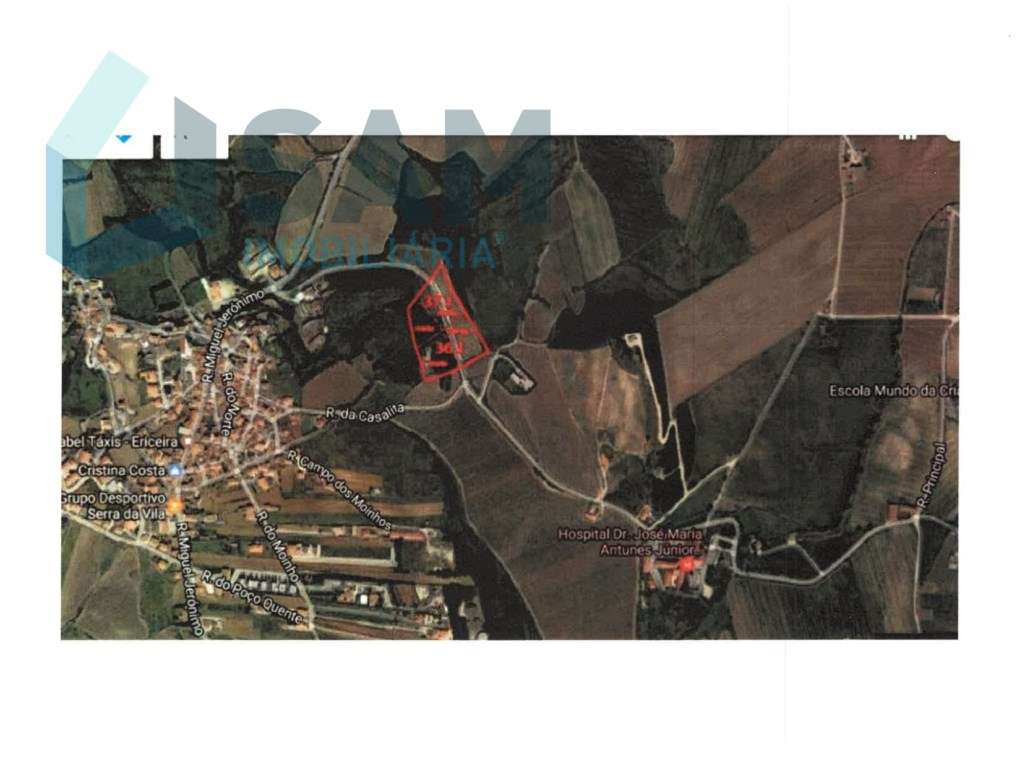 Terreno Agrícola com Vinha Produtiva - Serra da Vila, Torres Vedras - Grande imagem: 5/6