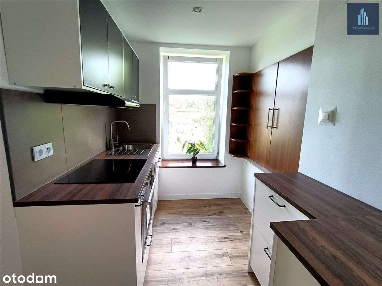 Mieszkanie 54 m2 do wynajęcia Czechowice-Dziedzice - Pełny obrazek: 3/13