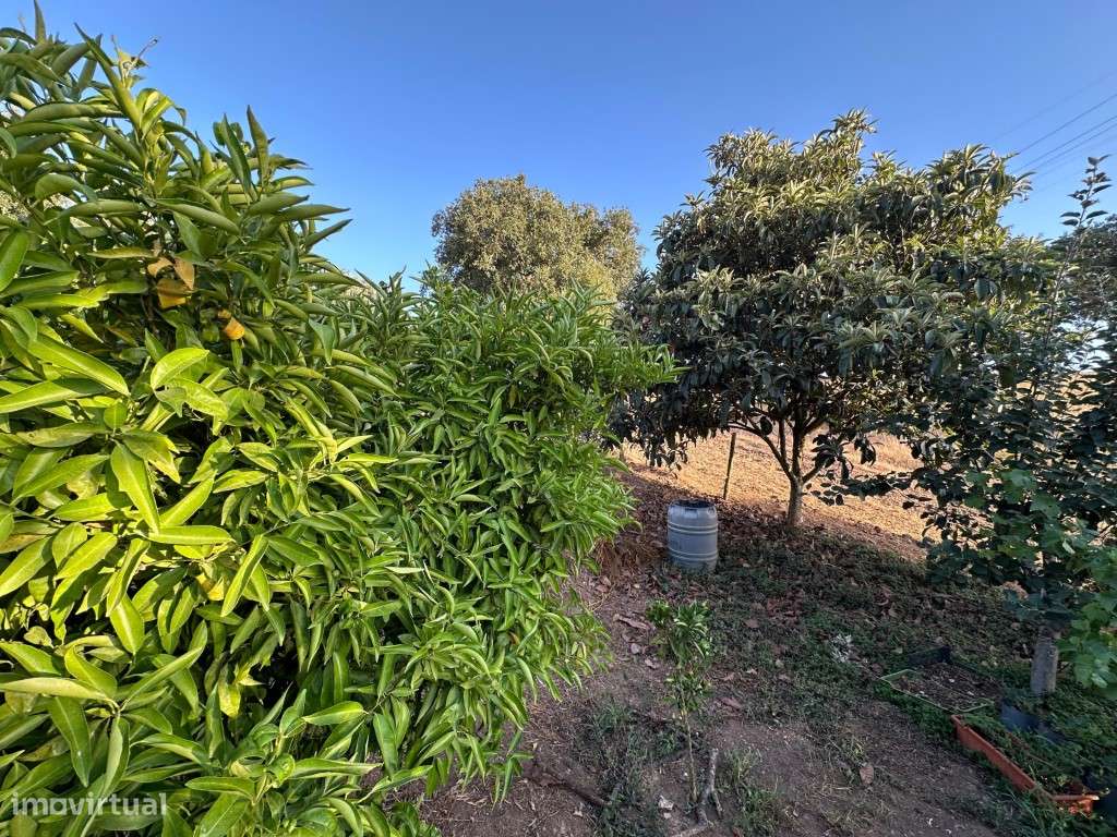 Monte Alentejano com 3,4 ha de natureza e potencial turístico-33