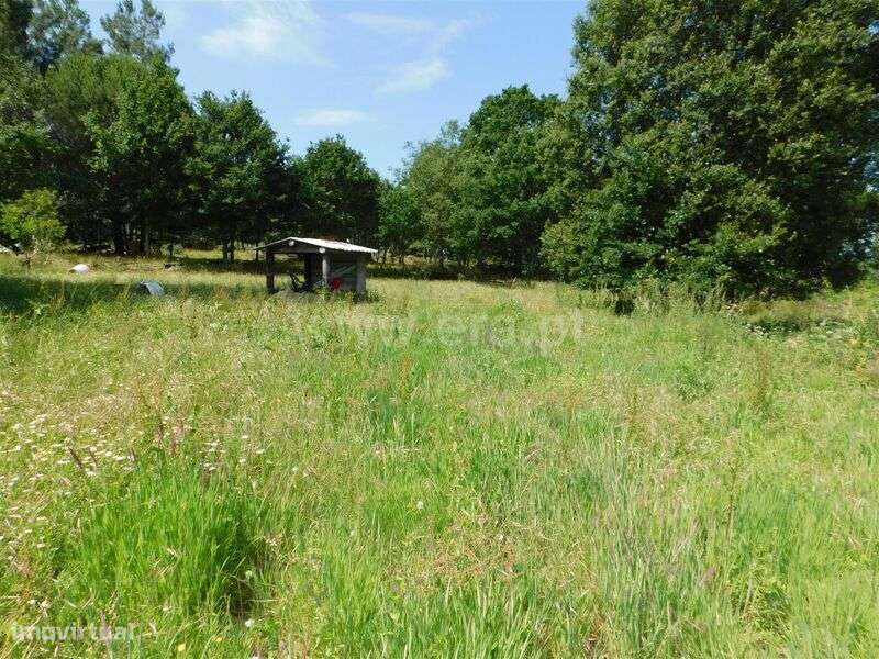 Quinta T2 / Gouveia, Rio Torto e Lagarinhos - Grande imagem: 4/20