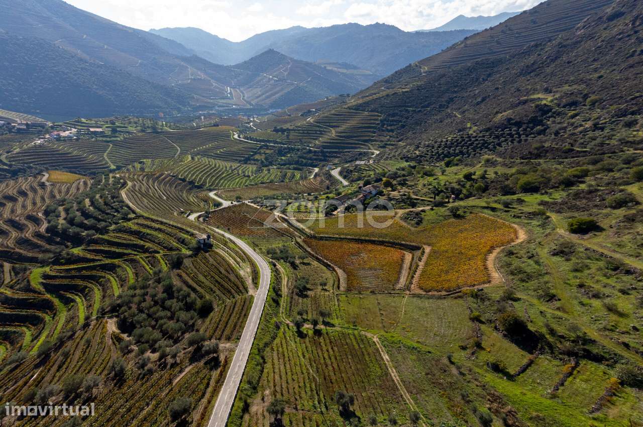 Quinta Seixo de Ansiães - Grande imagem: 3/54