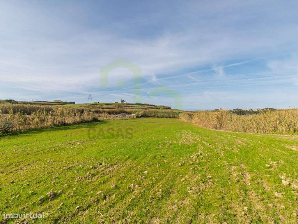 Vende Terreno - Ericeira 13 km, A Casa das Casas - Grande imagem: 5/11