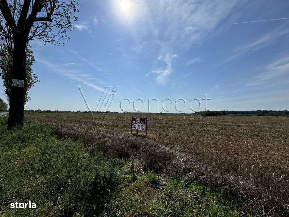 0% comision Teren intravilan – Ciolpani – Izvorani | 1.300 mp-6