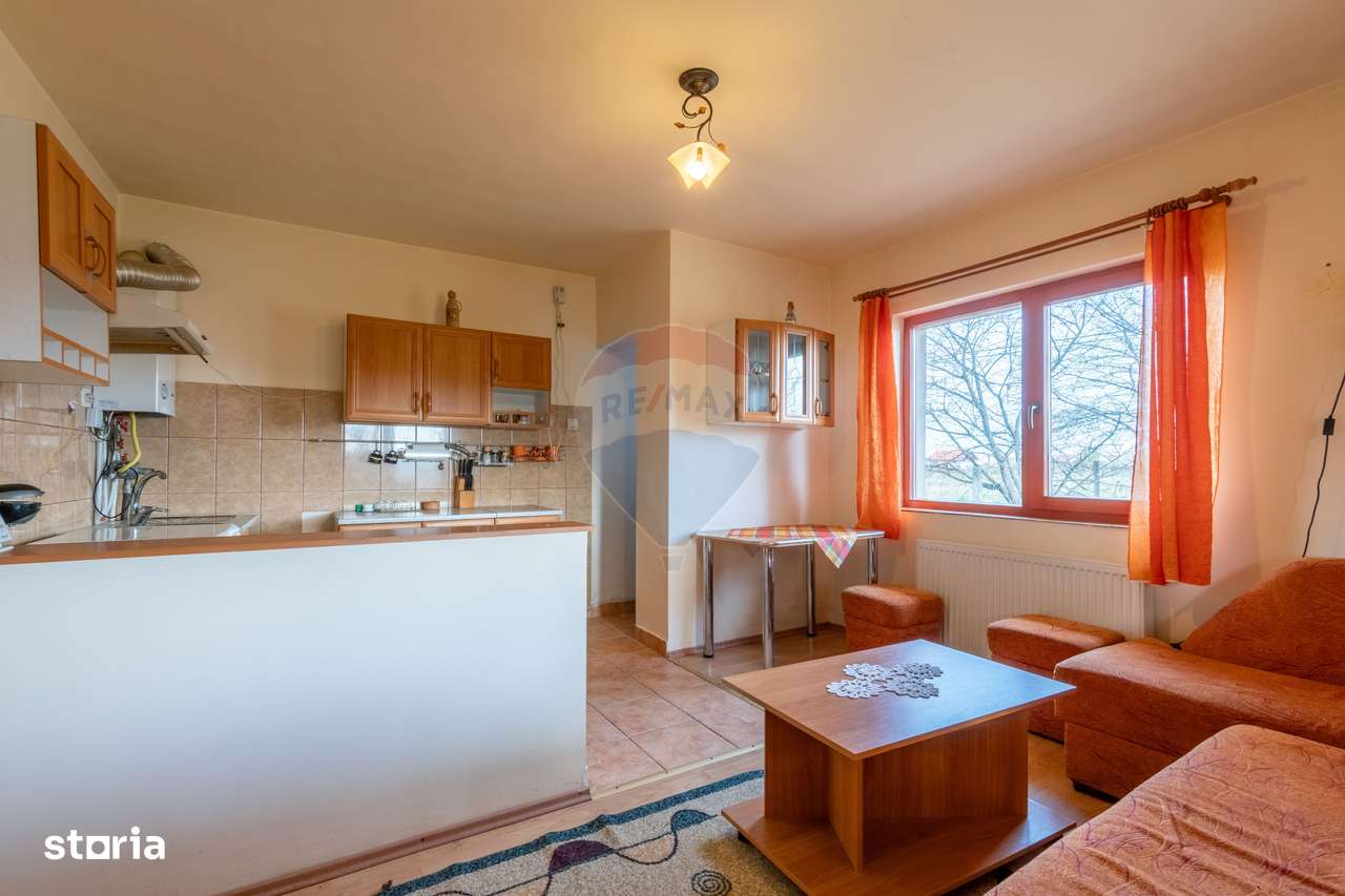 Casa de vanzare Jucu de Mijloc, Zona Panemar Teren intravilan 3301 mp - Imagine principală: 5/15